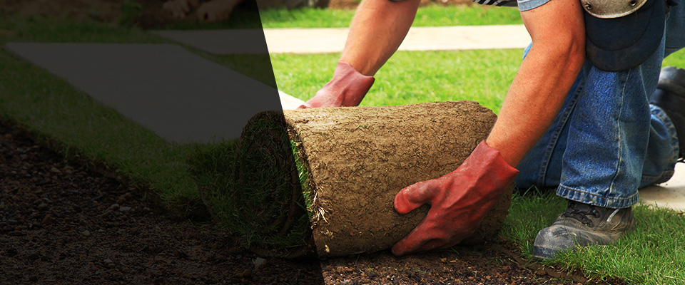 Hicksville Landscapers